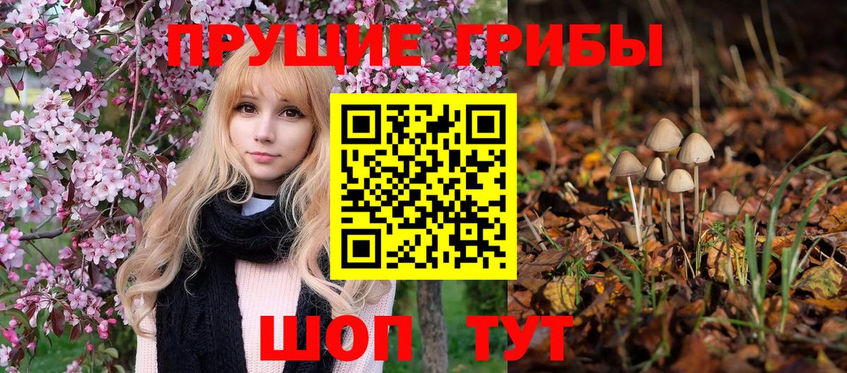 Серпухов  Галлюциногенные грибы мухоморы  Вход с VPN 
