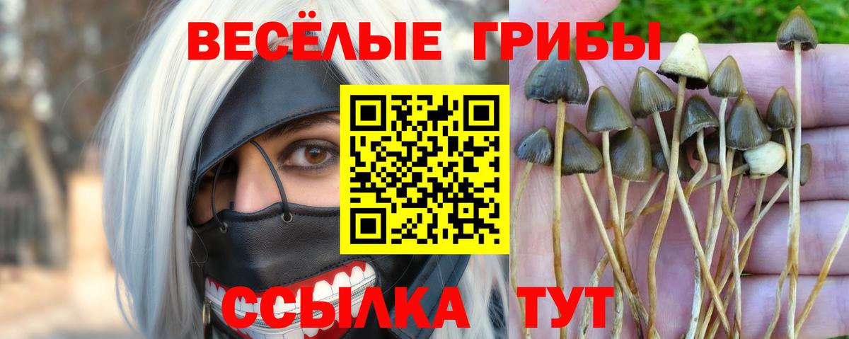 Галлюциногенные грибы прущие грибы Серпухов